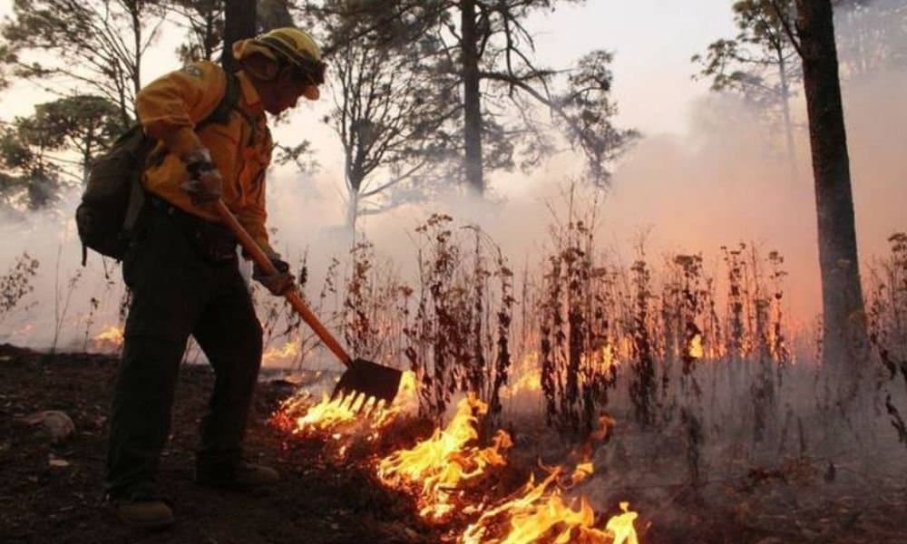 Chihuahua ocupa el tercer lugar en número de incendios forestales