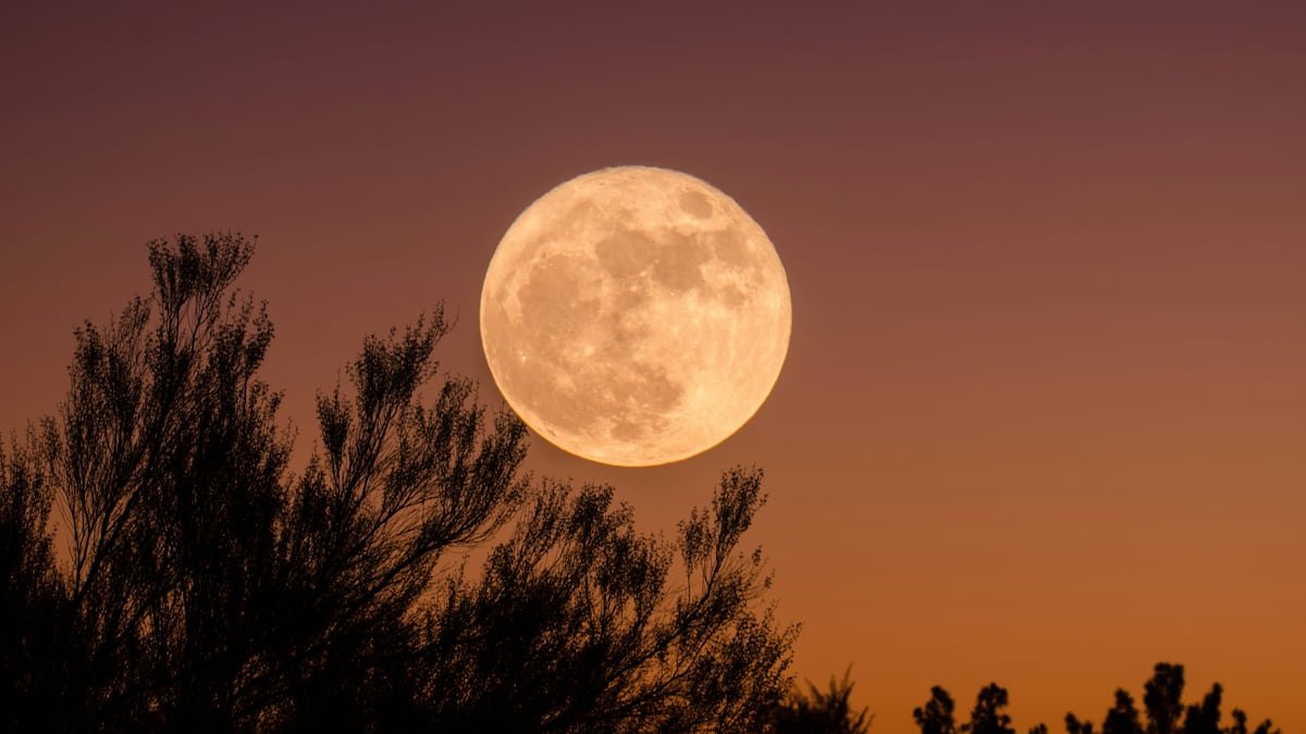 Luna de Ciervo 2026 en México: fecha y hora para observarla