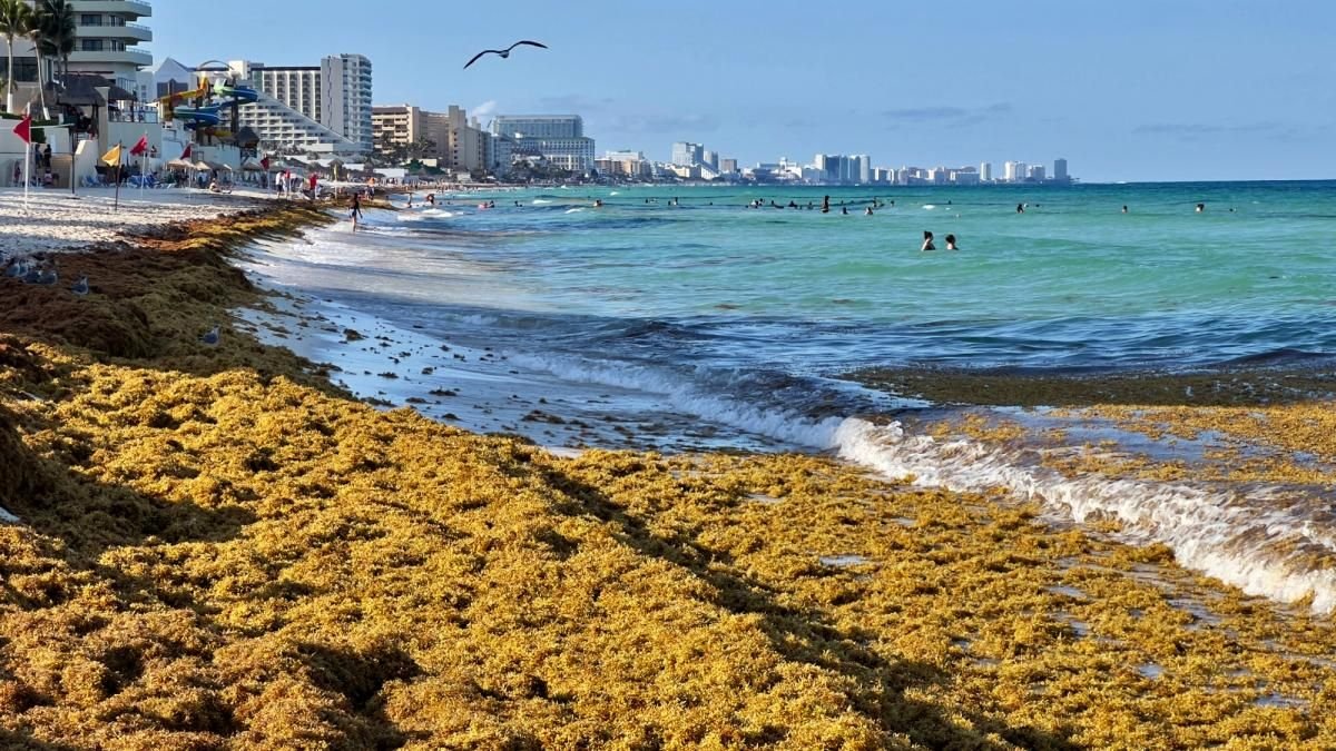 Crisis turística en Quintana Roo por baja ocupación y sargazo